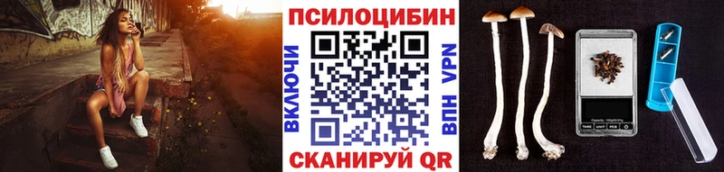 Галлюциногенные грибы GOLDEN TEACHER  кракен рабочий сайт  Биробиджан 