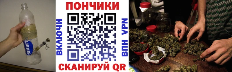 Бошки Шишки план Биробиджан